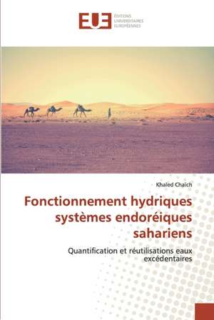 Fonctionnement hydriques systèmes endoréiques sahariens de Khaled Chaïch