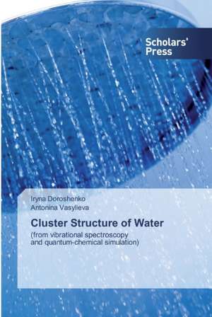 Cluster Structure of Water de Iryna Doroshenko