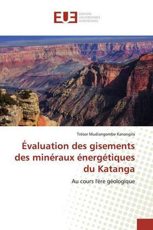 Évaluation des gisements des minéraux énergétiques du Katanga de Trésor Mudiangombe Kanangila