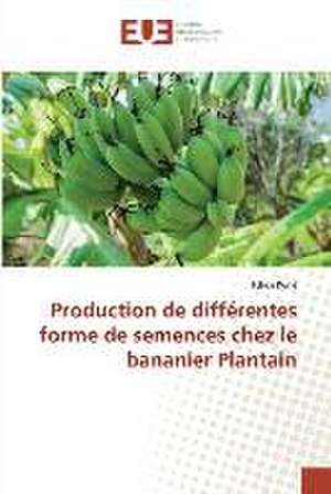 Production de différentes forme de semences chez le bananier Plantain de Tchoa Koné