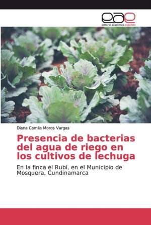 Presencia de bacterias del agua de riego en los cultivos de lechuga de Diana Camila Moros Vargas