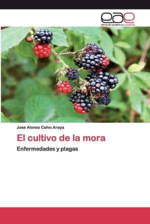 El cultivo de la mora de Jose Alonso Calvo Araya