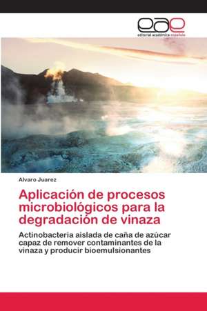 Aplicación de procesos microbiológicos para la degradación de vinaza de Alvaro Juarez