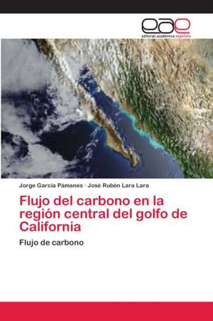 Flujo del carbono en la región central del golfo de California de Jorge García Pámanes