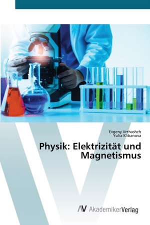 Physik: Elektrizität und Magnetismus de Evgeny Vrzhashch