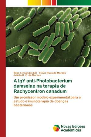 A IgY anti-Photobacterium damselae na terapia de Rachycentron canadum de Silas Fernandes Eto