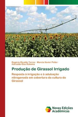 Produção de Girassol Irrigado de Rogério Ricalde Torres