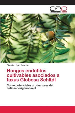 Hongos endófitos cultivables asociados a taxus Globosa Schltdl de Claudia López Sánchez