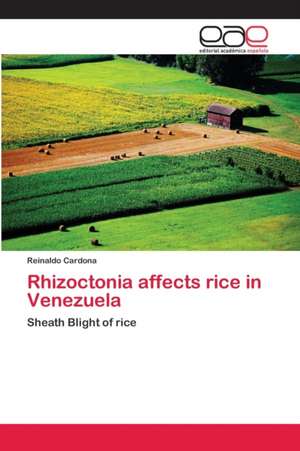 Rhizoctonia affects rice in Venezuela de Reinaldo Cardona