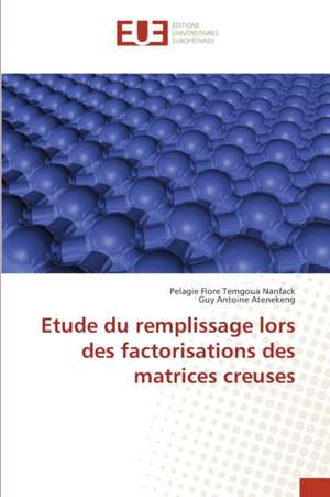 Etude du remplissage lors des factorisations des matrices creuses de Pelagie Flore Temgoua Nanfack