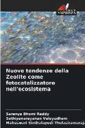 Nuove tendenze della Zeolite come fotocatalizzatore nell'ecosistema de Saranya Bhomi Reddy