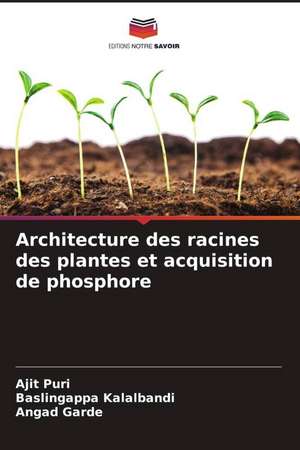 Architecture des racines des plantes et acquisition de phosphore de Ajit Puri