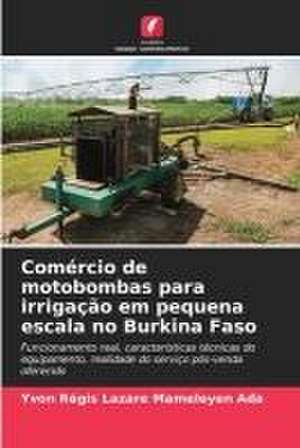 Comércio de motobombas para irrigação em pequena escala no Burkina Faso de Yvon Régis Lazare Mameleyen Ada