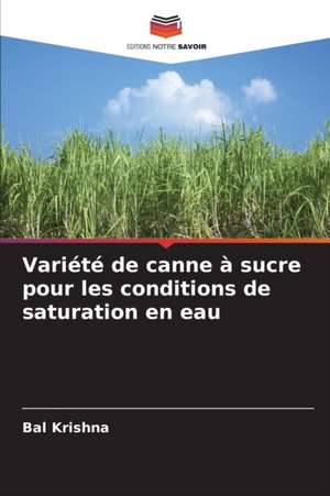 Variété de canne à sucre pour les conditions de saturation en eau de Bal Krishna