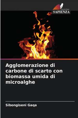 Agglomerazione di carbone di scarto con biomassa umida di microalghe de Sibongiseni Gaqa