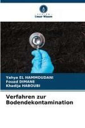 Verfahren zur Bodendekontamination de Yahya El Hammoudani