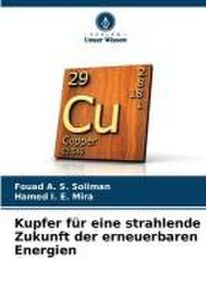 Kupfer für eine strahlende Zukunft der erneuerbaren Energien de Fouad A. S. Soliman