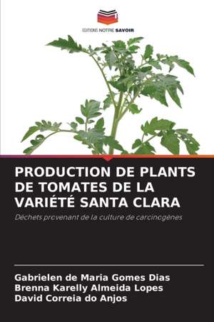 PRODUCTION DE PLANTS DE TOMATES DE LA VARIÉTÉ SANTA CLARA de Gabrielen de Maria Gomes Dias