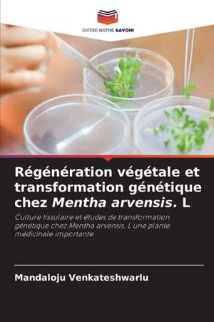 Régénération végétale et transformation génétique chez Mentha arvensis. L de Mandaloju Venkateshwarlu