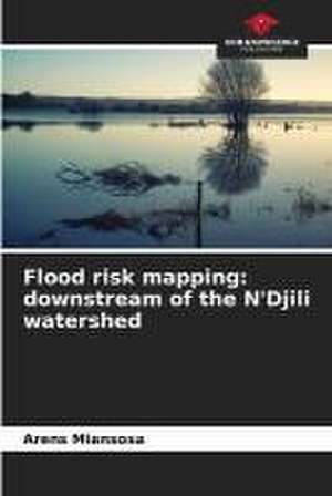 Flood risk mapping: downstream of the N'Djili watershed de Arens Miansosa