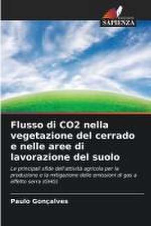 Flusso di CO2 nella vegetazione del cerrado e nelle aree di lavorazione del suolo de Paulo Gonçalves