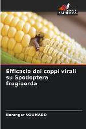 Efficacia dei ceppi virali su Spodoptera frugiperda de Bérenger Noumado