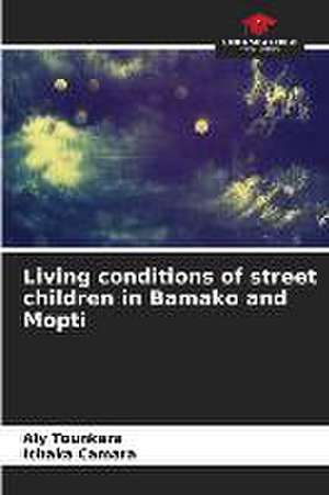 Living conditions of street children in Bamako and Mopti de Aly Tounkara