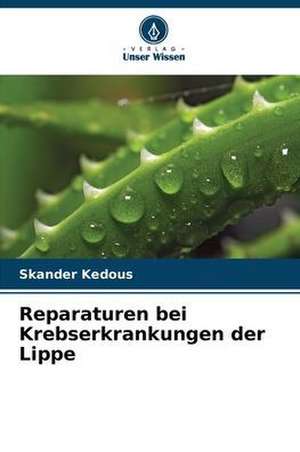 Reparaturen bei Krebserkrankungen der Lippe de Skander Kedous