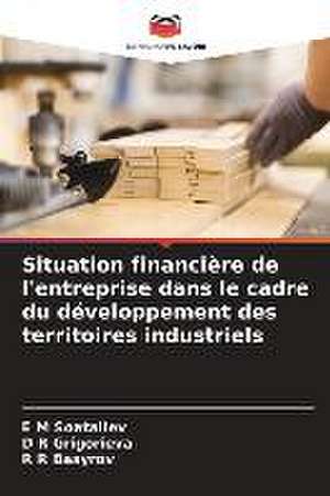 Situation financière de l'entreprise dans le cadre du développement des territoires industriels de E M Soataliev