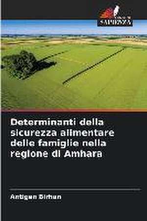 Determinanti della sicurezza alimentare delle famiglie nella regione di Amhara de Antigen Birhan