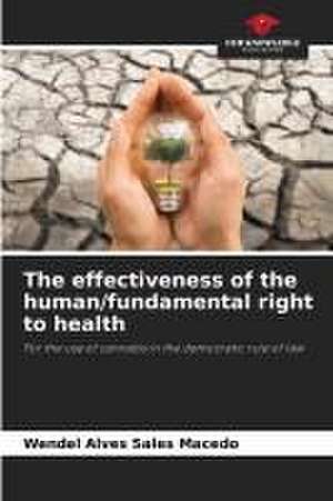 The effectiveness of the human/fundamental right to health de Wendel Alves Sales Macedo