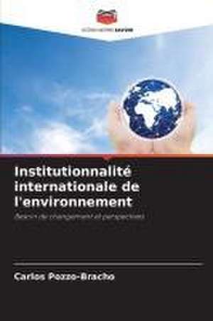 Institutionnalité internationale de l'environnement de Carlos Pozzo-Bracho