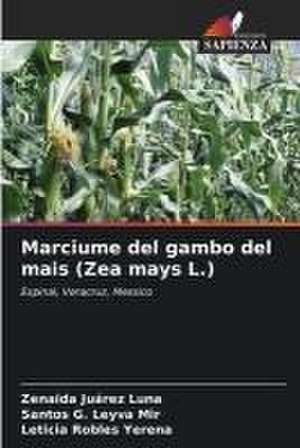 Marciume del gambo del mais (Zea mays L.) de Zenaida Juárez Luna