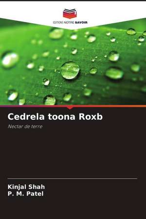 Cedrela toona Roxb de Kinjal Shah