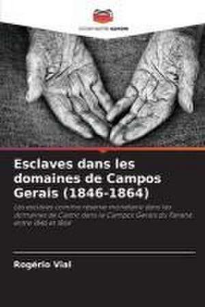 Esclaves dans les domaines de Campos Gerais (1846-1864) de Rogério Vial