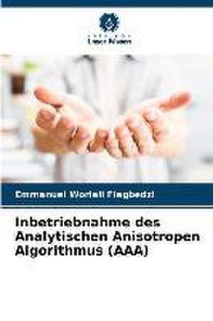 Inbetriebnahme des Analytischen Anisotropen Algorithmus (AAA) de Emmanuel Worlali Fiagbedzi