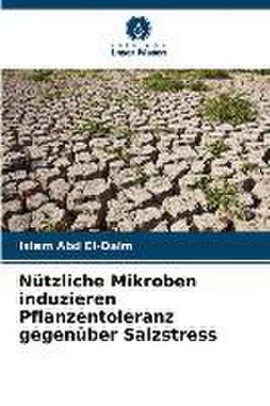 Nützliche Mikroben induzieren Pflanzentoleranz gegenüber Salzstress de Islam Abd El-Daim