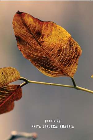 Not Springtime Yet ( Hb ) de Priya Sarukkai Chabria