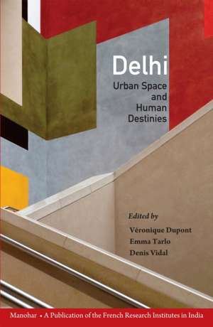 Delhi de Emma Tarlo