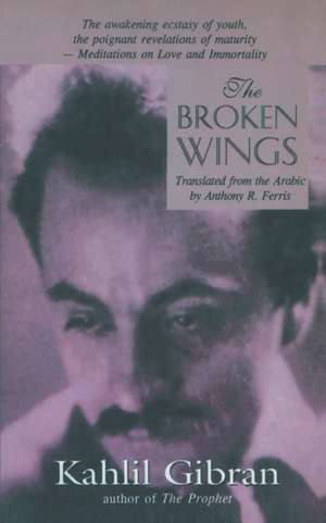 The Broken Wings de Kahlil Gibran