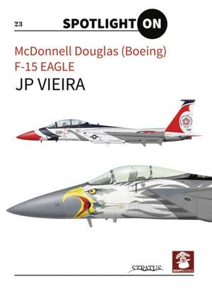 McDonnell Douglas (Boeing) F-15 Eagle de Jp Vieira