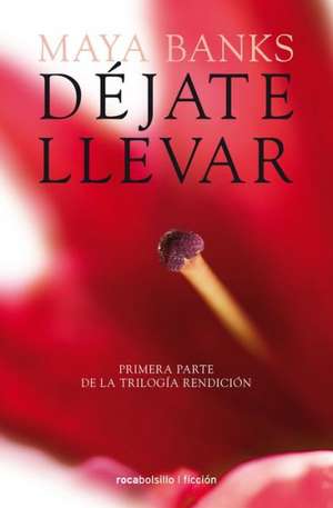 Dejate Llevar: Y Otros Dieciseis Cuentos Que No Estan En Los Libros