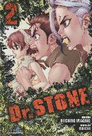 Dr. Stone de Boichi