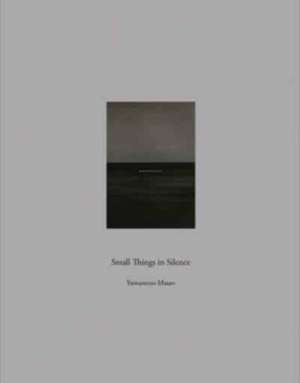 Masao Yamamoto: Small Things in Silence de Masao Yamamoto