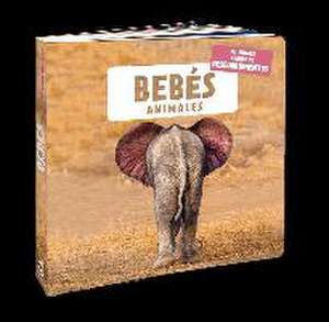 Bebés animales de Naturagency