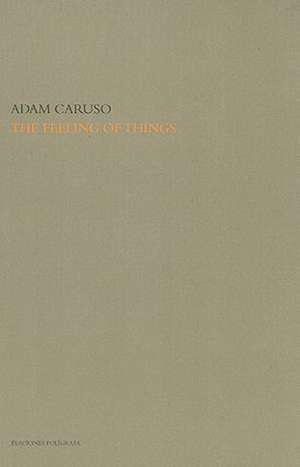 The Feelings of Things de Adam Caruso