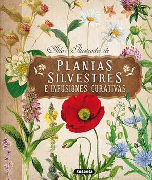 Atlas Ilustrado de Plantas Silvestres E Infusiones Curativas de Susaeta Publishing Inc