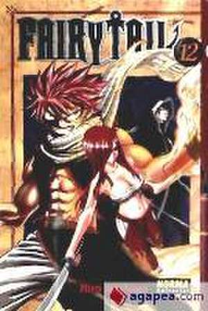 Fairy Tail 12