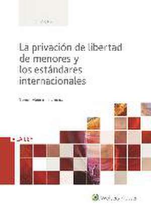 Investigación y prueba mediante medidas de intervención de las comunicaciones, dispositivos electrónicos y grabación de imagen y sonido de Manuel Richard González