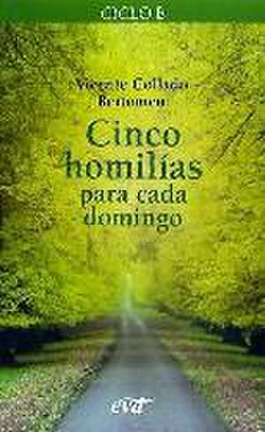 Cinco homilías para cada domingo 2, ciclo B de Vicente Collado